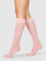 Rosa Lace Knee-Highs -Dusty Pink