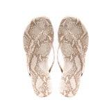 Indie - Golden Lizard