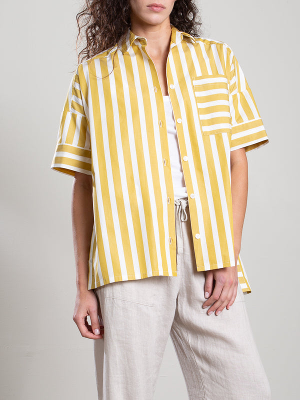 Payton Shirt in Cotton Stripe - Sun