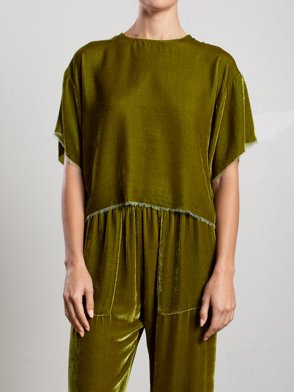 Miles Tee in Velvet - Chartreuse