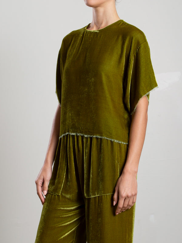 Miles Tee in Velvet - Chartreuse