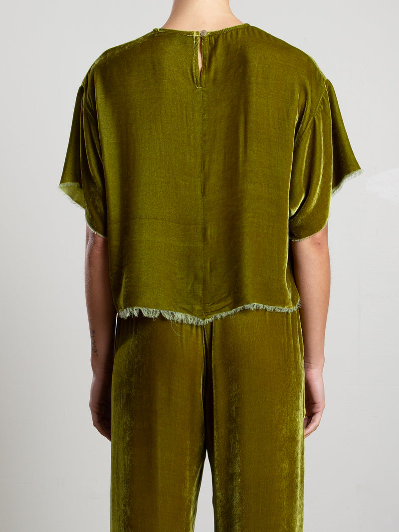 Miles Tee in Velvet - Chartreuse