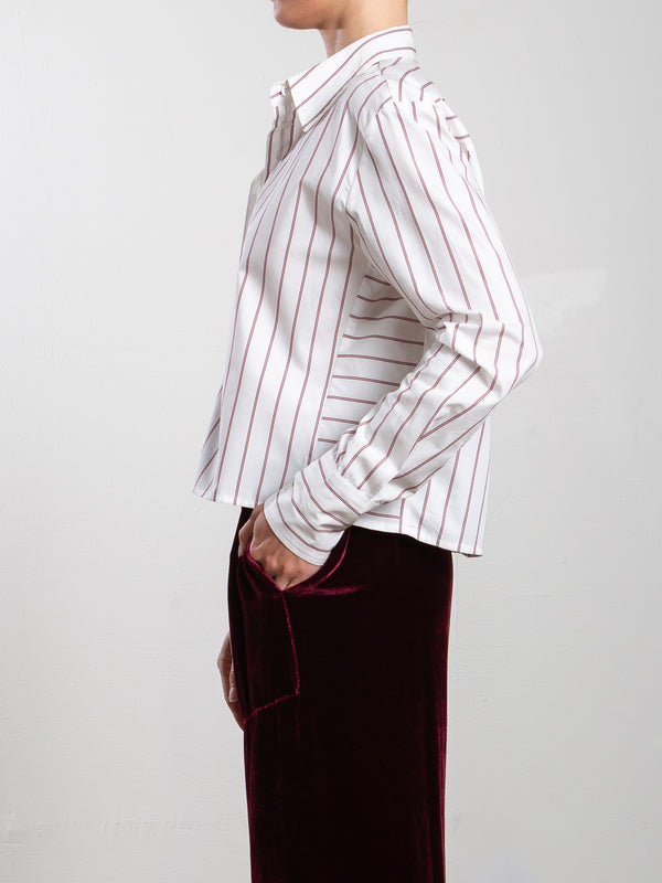Enzo Shirt in Burgundy Stripe