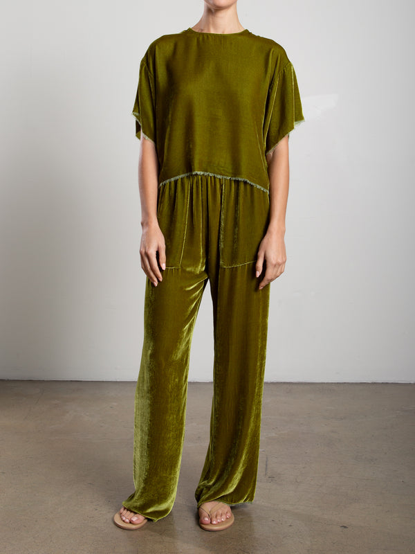 Taryn Pant in Velvet - Chartreuse