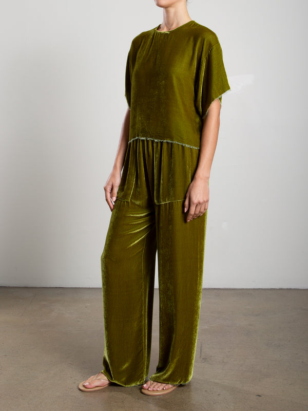 Taryn Pant in Velvet - Chartreuse