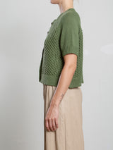 Alba Cardigan in Cotton - Basil
