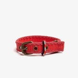 DOG COLLAR